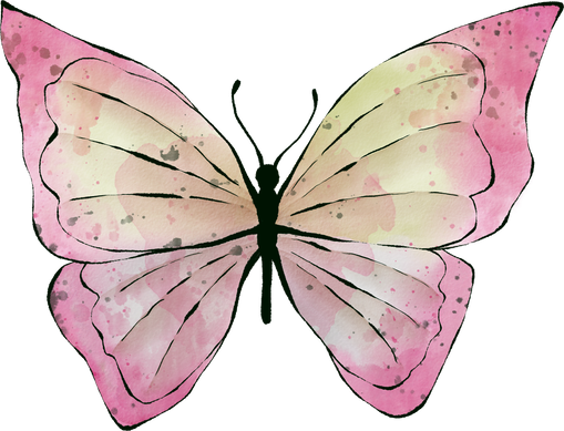 Pink butterfly, watercolor hand drawing